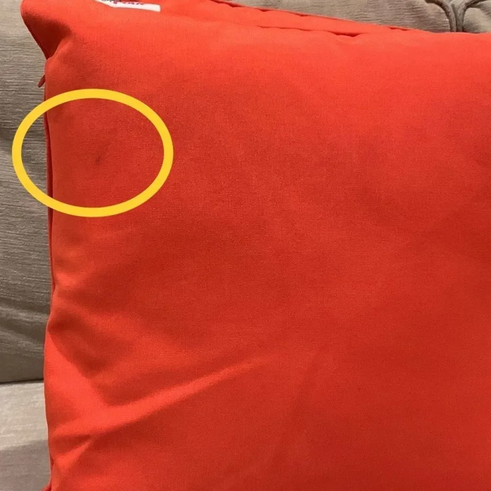 Square Orange Outdoor Indoor Accent Throw Pillow 18” Square